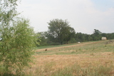 South Star Ranch 140 twrw