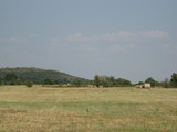 Star Meadows 100 twrw