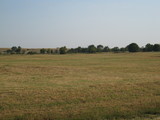 East Keota Field 39 twrw