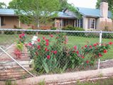 Cherokee Creek Ranch/Country Estate/Cabin Rentals skb