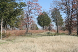 Berry Frost Lane twrw