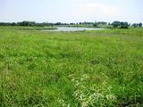 Green Grass Ranch - 1200 - ka