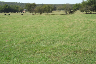 Rouse Road Ranch 450 acres