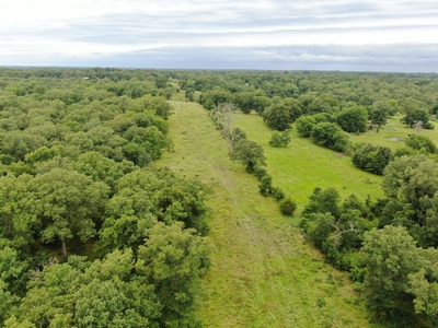 Clear Springs Recreational 182 acres