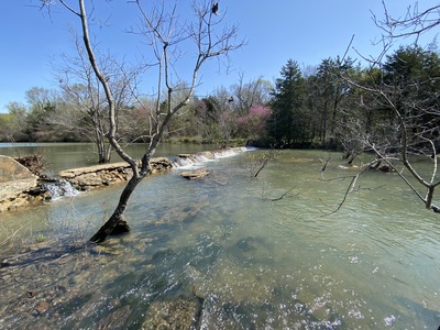 Deep Branch Creek Hunting Ranch 635 acres-SKB