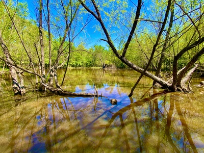 85 Acres Bucks, Ducks, Gobblers, & Hogs