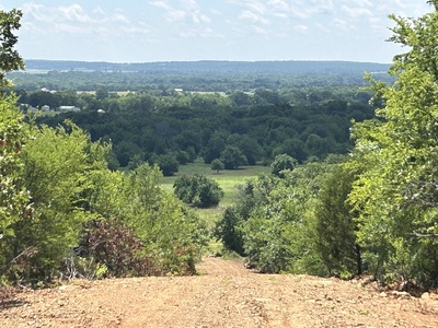 Scipio Hunting 387 acres