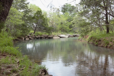 Longtown Creek Ranch 147