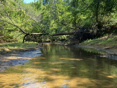 150 Acres Prime Hunting